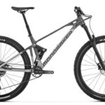 Mondraker Raze 29"