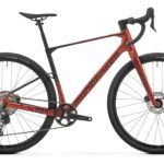 Mondraker Arid Carbon