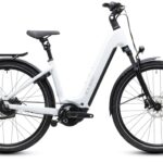 Cube Kathmandu Hybrid Deluxe Pro Performance Line CX 800Wh