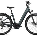Flyer G2 Gotour 5.10 NL Performance Line CX 800Wh