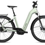 Flyer G1 Gotour 5.43 Performance Line CX 750Wh