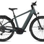 Flyer G2 Gotour 7.12 XC NL Performance Line CX 800Wh