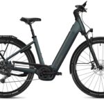 Flyer G2 Gotour 7.12 XC Performance Line CX 800Wh