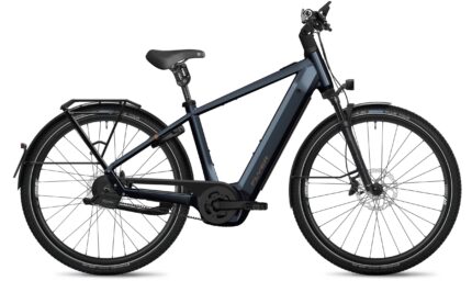 Flyer G2 Gotour 7.23 HS CH Performance Line Speed 800 Wh 45 km/h