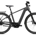 Flyer G1 Gotour 7.23 Performance Line CX 750 Wh