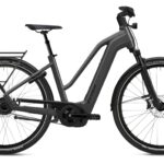 Flyer G1 Gotour 7.23 Performance Line CX 750Wh