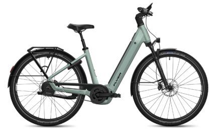Flyer G2 Gotour 7.23 NL Performance Line CX 800Wh