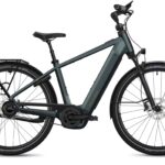 Flyer G2 Gotour 7.43 Performance Line CX 800 Wh