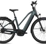 Flyer G2 Gotour 7.43 Performance Line CX 800 Wh