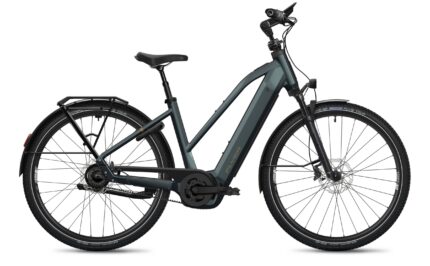 Flyer G2 Gotour 7.43 Performance Line CX 800 Wh