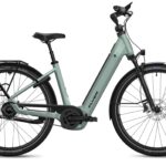 Flyer G2 Gotour 7.43 Performance Line CX 800 Wh