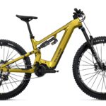 Flyer G1 Uproc EVO:X 8.70 Performance Line CX 750Wh