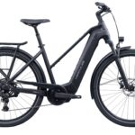 Hercules Futura HD I-9 Performance CX 600Wh 180kg