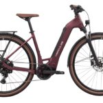 Hercules Futura SL I-9 Performance Line SX 400Wh
