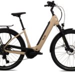 LIQBIKE Active WAVE Bosch Performance Line CX GEN5 600Wh