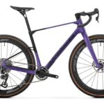 Mondraker Arid Carbon RR SL