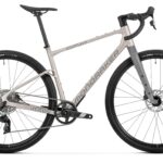 Mondraker Arid R