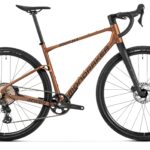Mondraker Arid S